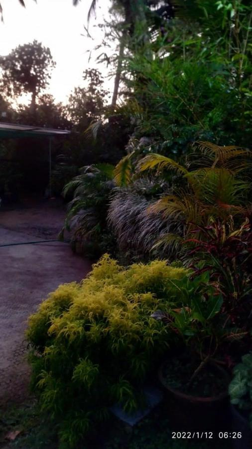 Fab Valley Homestay Мунар Екстериор снимка